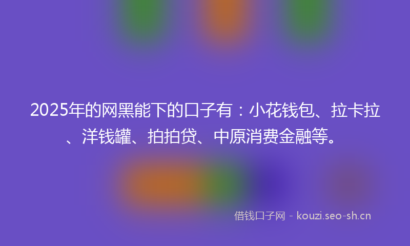 2025年的网黑能下的口子有：小花钱包、拉卡拉、洋钱罐、拍拍贷、中原消费金融等。