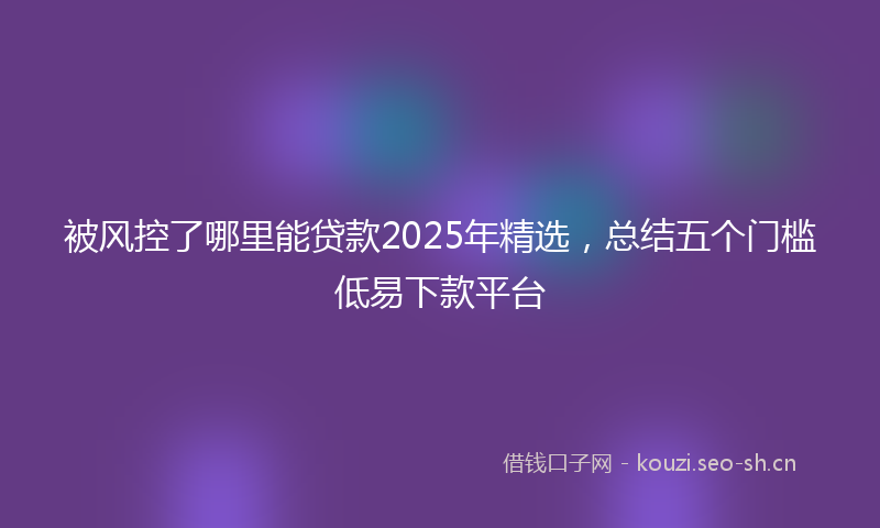 被风控了哪里能贷款2025年精选，总结五个门槛低易下款平台