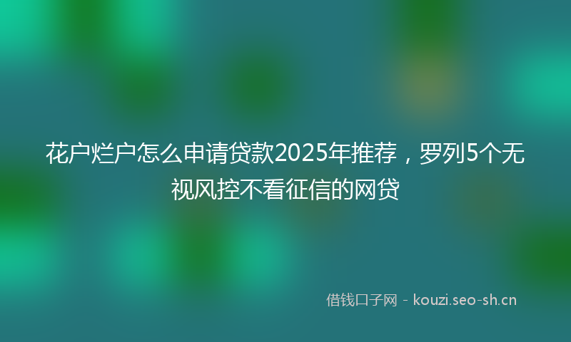 花户烂户怎么申请贷款2025年推荐，罗列5个无视风控不看征信的网贷