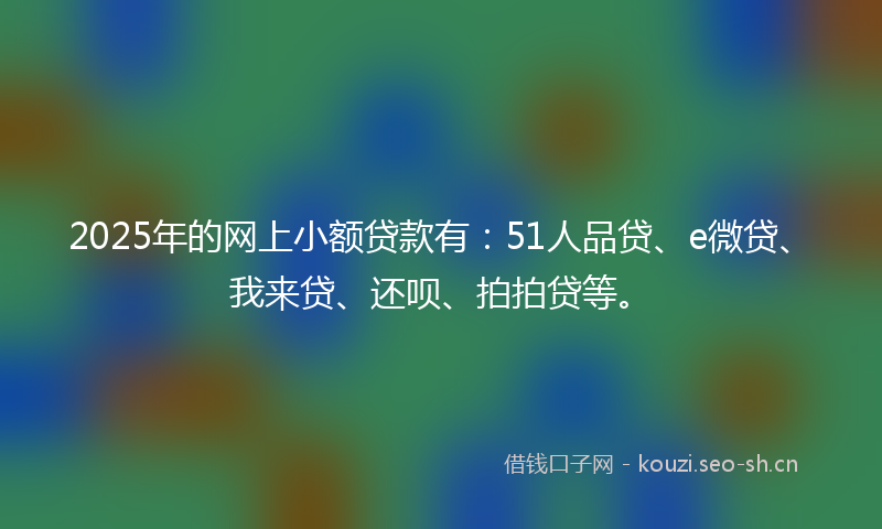 2025年的网上小额贷款有：51人品贷、e微贷、我来贷、还呗、拍拍贷等。