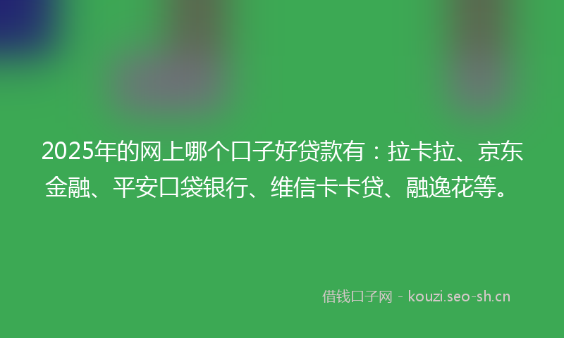 2025年的网上哪个口子好贷款有：拉卡拉、京东金融、平安口袋银行、维信卡卡贷、融逸花等。