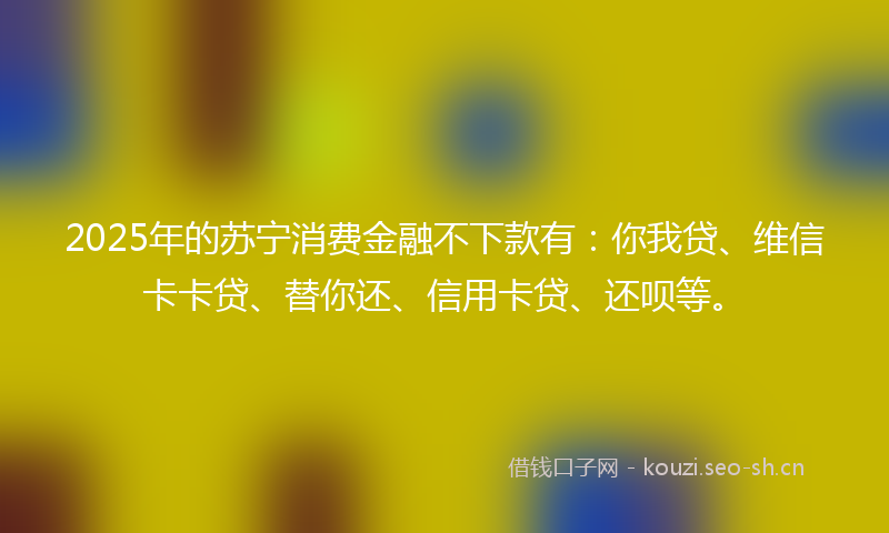 2025年的苏宁消费金融不下款有：你我贷、维信卡卡贷、替你还、信用卡贷、还呗等。