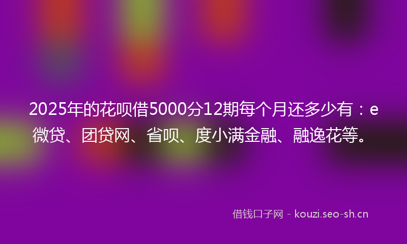 2025年的花呗借5000分12期每个月还多少有：e微贷、团贷网、省呗、度小满金融、融逸花等。