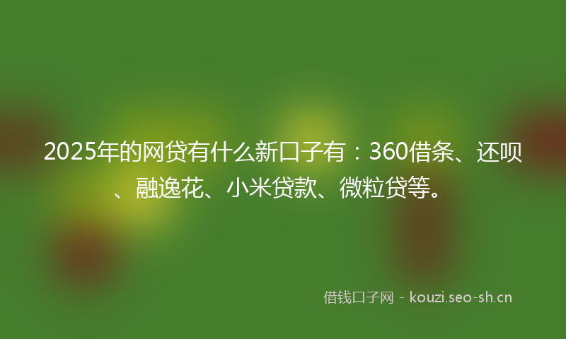 2025年的网贷有什么新口子有：360借条、还呗、融逸花、小米贷款、微粒贷等。
