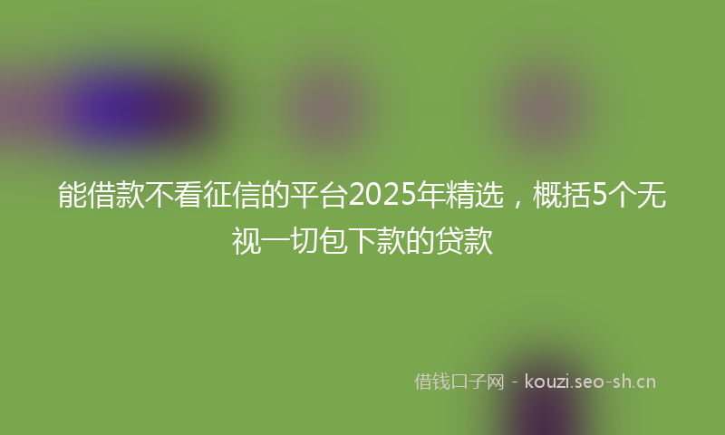 能借款不看征信的平台2025年精选，概括5个无视一切包下款的贷款