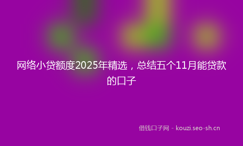 网络小贷额度2025年精选，总结五个11月能贷款的口子