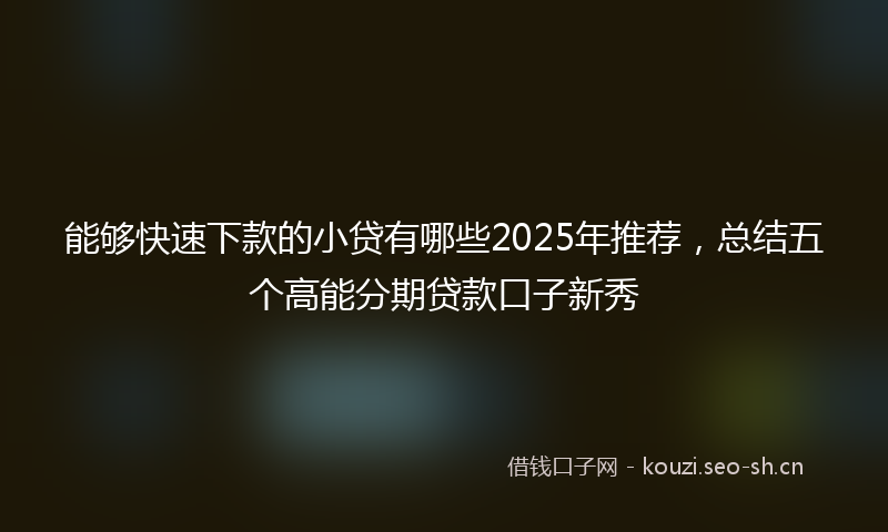 能够快速下款的小贷有哪些2025年推荐,总结五个高能分期贷款口子新秀