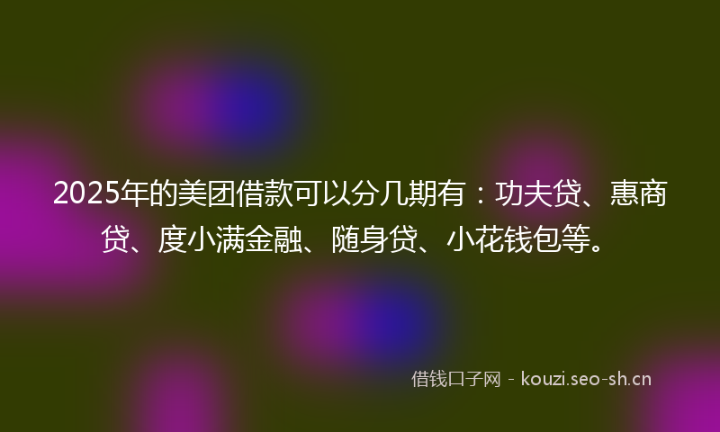 2025年的美团借款可以分几期有：功夫贷、惠商贷、度小满金融、随身贷、小花钱包等。