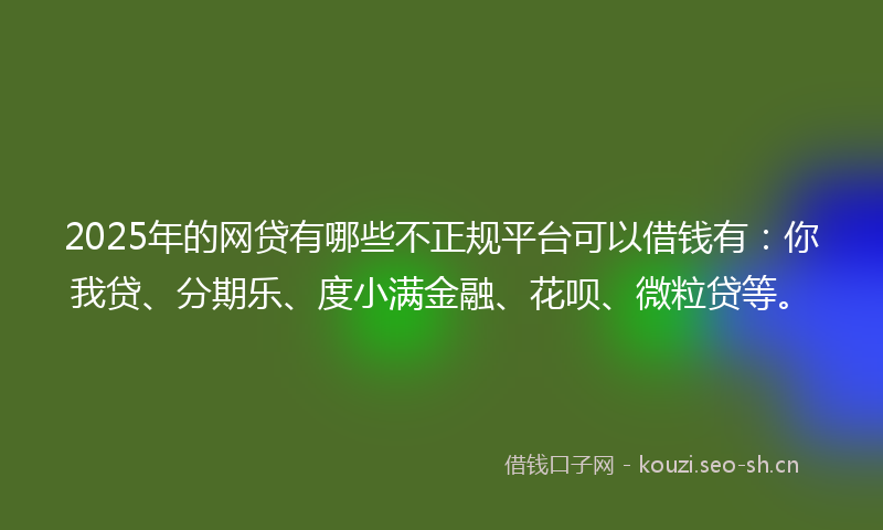 2025年的网贷有哪些不正规平台可以借钱有：你我贷、分期乐、度小满金融、花呗、微粒贷等。