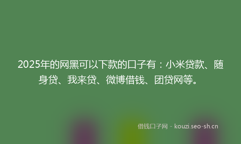 2025年的网黑可以下款的口子有：小米贷款、随身贷、我来贷、微博借钱、团贷网等。