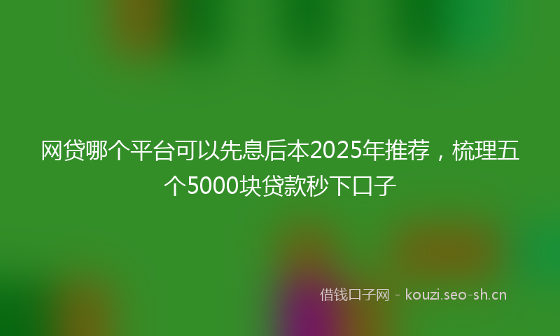 网贷哪个平台可以先息后本2025年推荐，梳理五个5000块贷款秒下口子