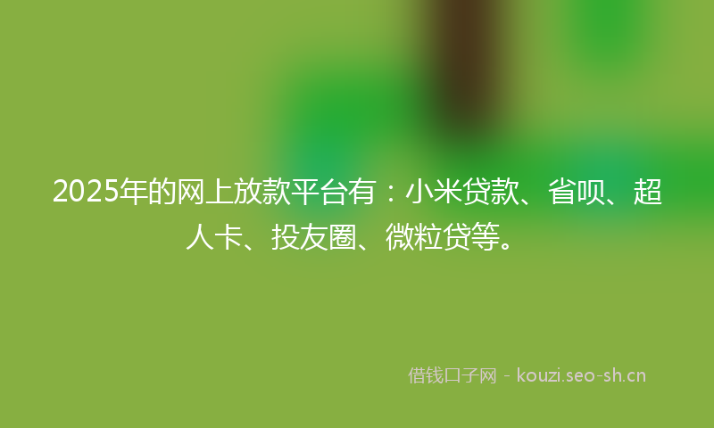 2025年的网上放款平台有：小米贷款、省呗、超人卡、投友圈、微粒贷等。