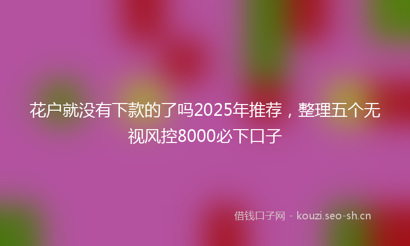 花户就没有下款的了吗2025年推荐，整理五个无视风控8000必下口子
