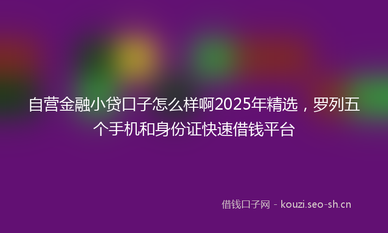 自营金融小贷口子怎么样啊2025年精选，罗列五个手机和身份证快速借钱平台