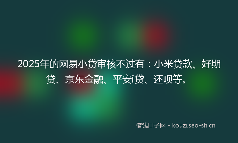 2025年的网易小贷审核不过有：小米贷款、好期贷、京东金融、平安i贷、还呗等。