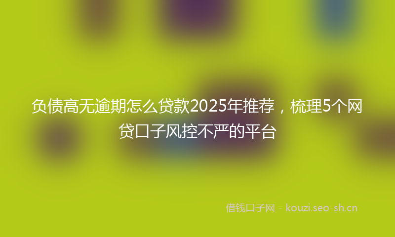 负债高无逾期怎么贷款2025年推荐，梳理5个网贷口子风控不严的平台