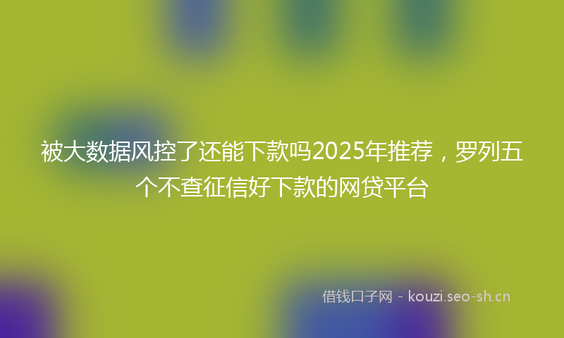 被大数据风控了还能下款吗2025年推荐，罗列五个不查征信好下款的网贷平台