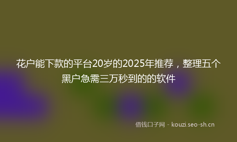 花户能下款的平台20岁的2025年推荐，整理五个黑户急需三万秒到的的软件