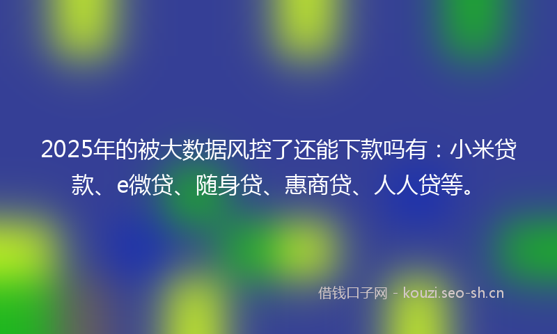 2025年的被大数据风控了还能下款吗有：小米贷款、e微贷、随身贷、惠商贷、人人贷等。