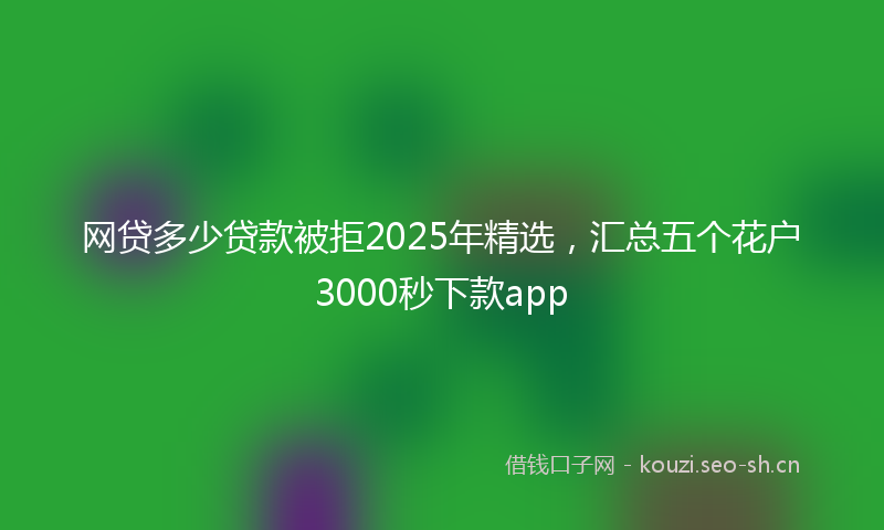 网贷多少贷款被拒2025年精选，汇总五个花户3000秒下款app