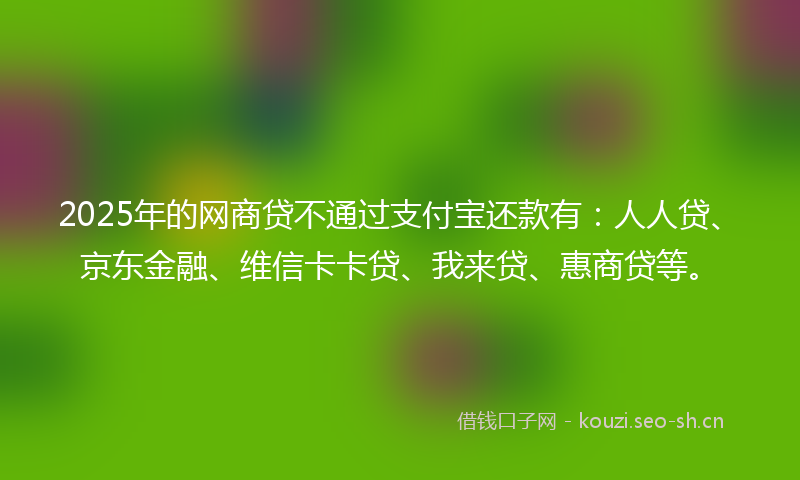 2025年的网商贷不通过支付宝还款有：人人贷、京东金融、维信卡卡贷、我来贷、惠商贷等。