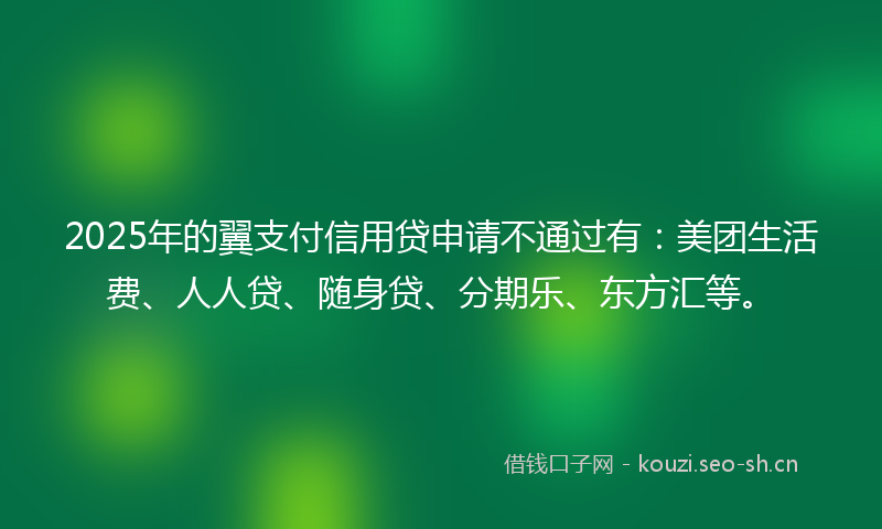 2025年的翼支付信用贷申请不通过有：美团生活费、人人贷、随身贷、分期乐、东方汇等。