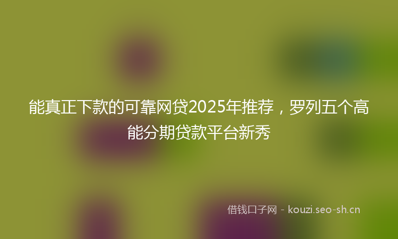 能真正下款的可靠网贷2025年推荐，罗列五个高能分期贷款平台新秀