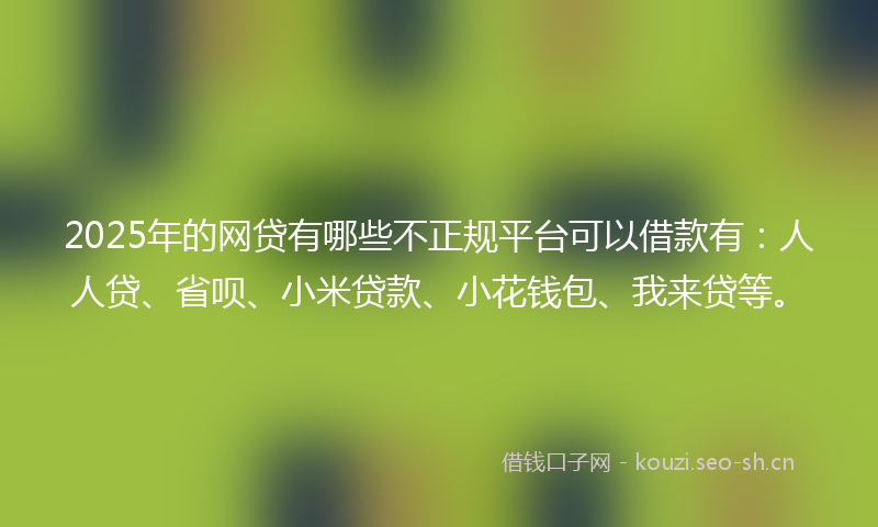 2025年的网贷有哪些不正规平台可以借款有：人人贷、省呗、小米贷款、小花钱包、我来贷等。