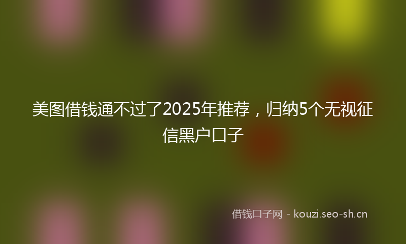 美图借钱通不过了2025年推荐，归纳5个无视征信黑户口子