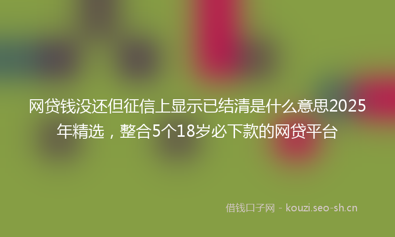网贷钱没还但征信上显示已结清是什么意思2025年精选，整合5个18岁必下款的网贷平台
