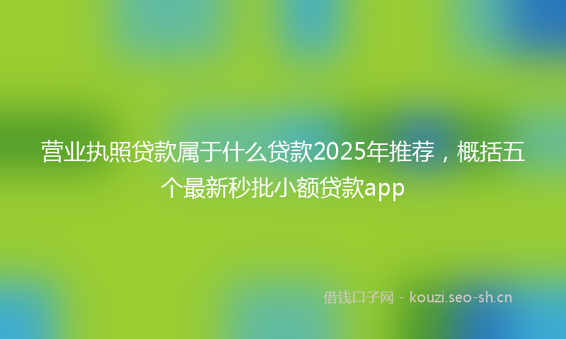 营业执照贷款属于什么贷款2025年推荐，概括五个最新秒批小额贷款app