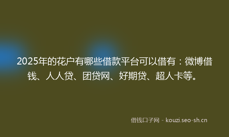2025年的花户有哪些借款平台可以借有：微博借钱、人人贷、团贷网、好期贷、超人卡等。