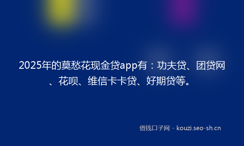 2025年的莫愁花现金贷app有：功夫贷、团贷网、花呗、维信卡卡贷、好期贷等。