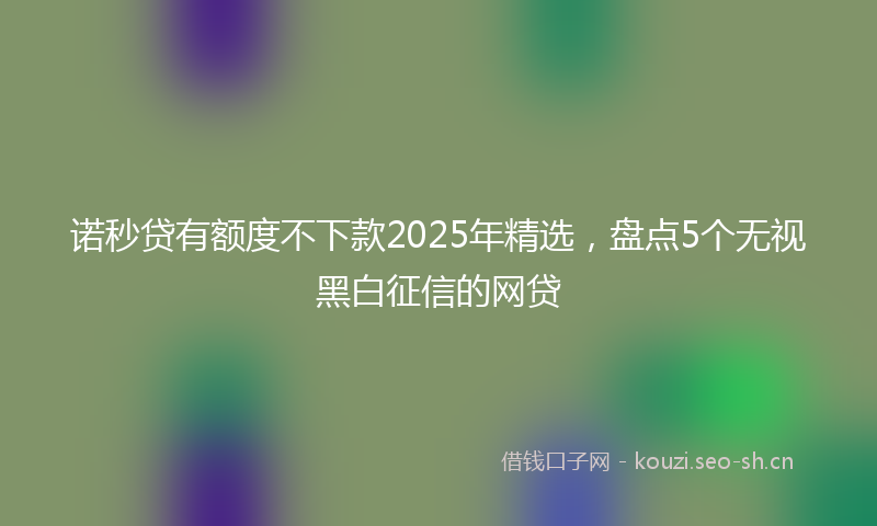 诺秒贷有额度不下款2025年精选，盘点5个无视黑白征信的网贷