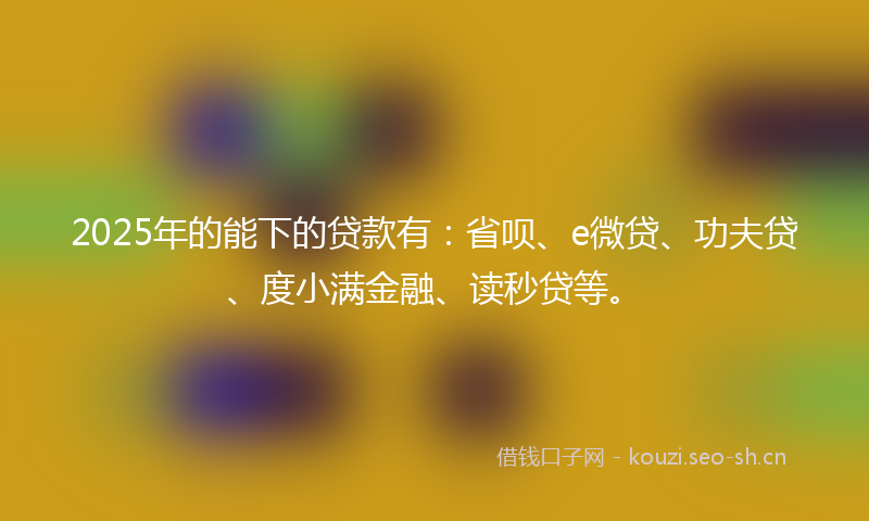2025年的能下的贷款有：省呗、e微贷、功夫贷、度小满金融、读秒贷等。