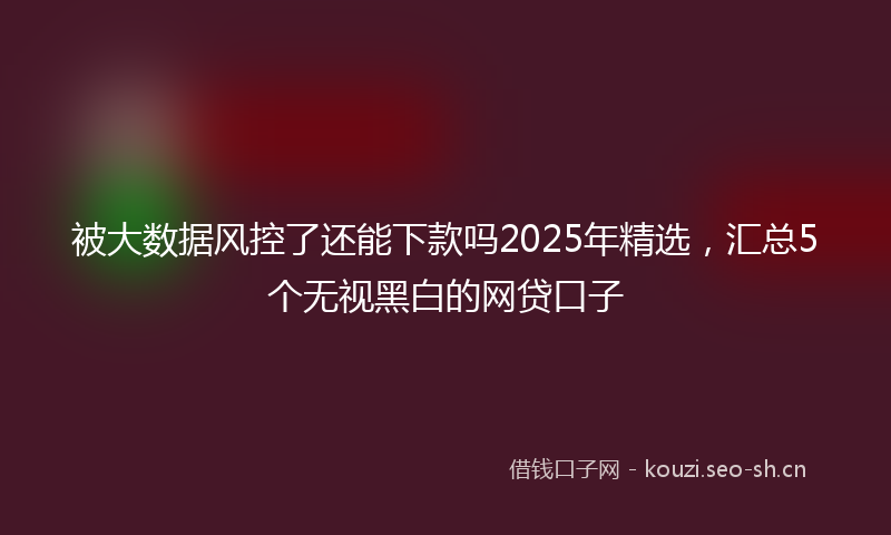 被大数据风控了还能下款吗2025年精选，汇总5个无视黑白的网贷口子