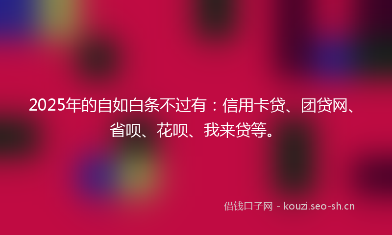 2025年的自如白条不过有：信用卡贷、团贷网、省呗、花呗、我来贷等。