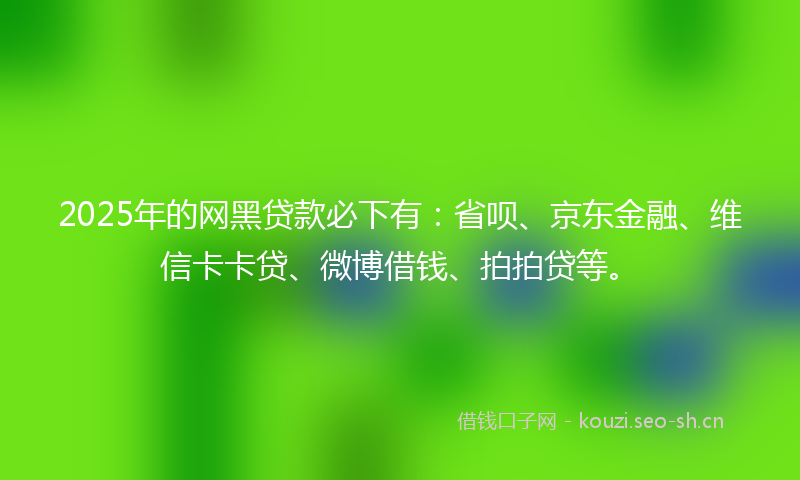 2025年的网黑贷款必下有：省呗、京东金融、维信卡卡贷、微博借钱、拍拍贷等。