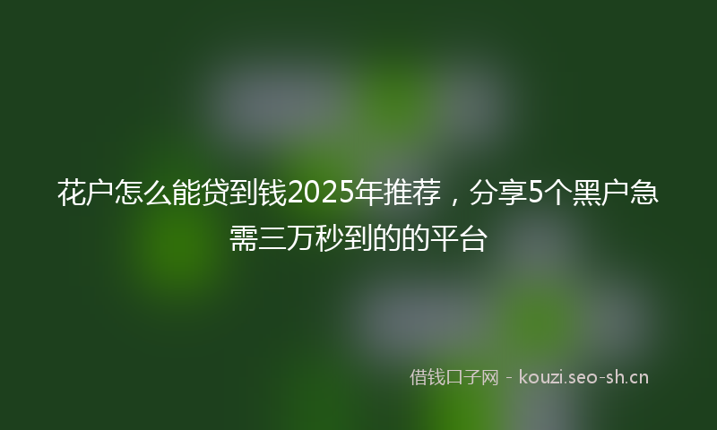 花户怎么能贷到钱2025年推荐，分享5个黑户急需三万秒到的的平台
