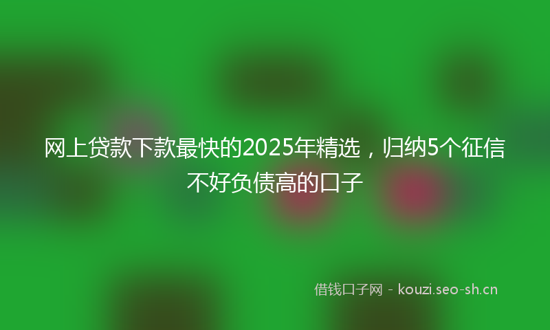 网上贷款下款最快的2025年精选，归纳5个征信不好负债高的口子