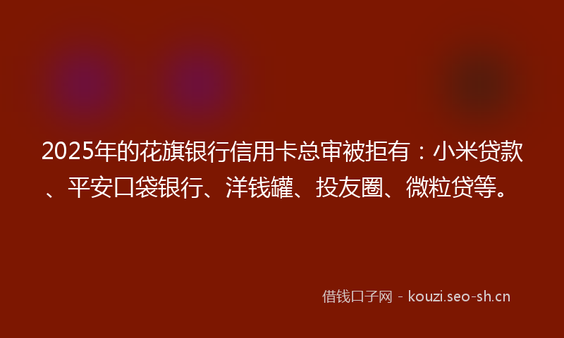 2025年的花旗银行信用卡总审被拒有：小米贷款、平安口袋银行、洋钱罐、投友圈、微粒贷等。