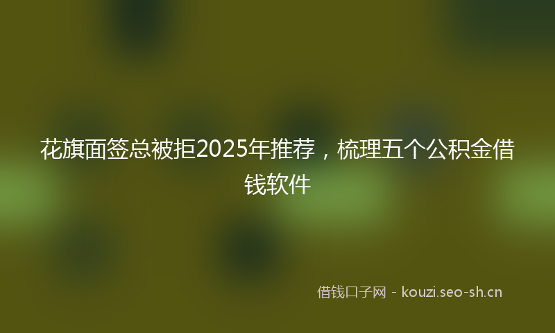 花旗面签总被拒2025年推荐，梳理五个公积金借钱软件