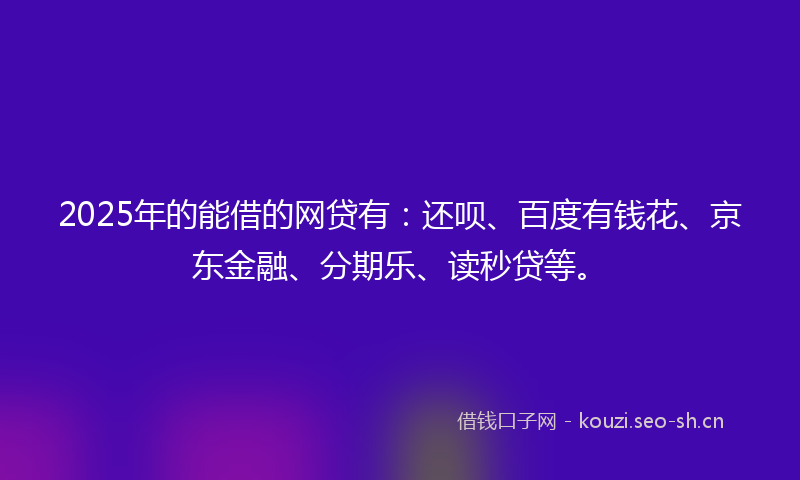 2025年的能借的网贷有：还呗、百度有钱花、京东金融、分期乐、读秒贷等。