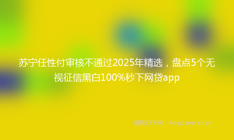 苏宁任性付审核不通过2025年精选，盘点5个无视征信黑白100%秒下网贷app