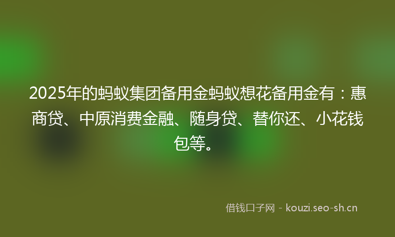 2025年的蚂蚁集团备用金蚂蚁想花备用金有：惠商贷、中原消费金融、随身贷、替你还、小花钱包等。