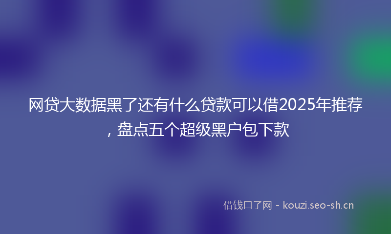 网贷大数据黑了还有什么贷款可以借2025年推荐，盘点五个超级黑户包下款
