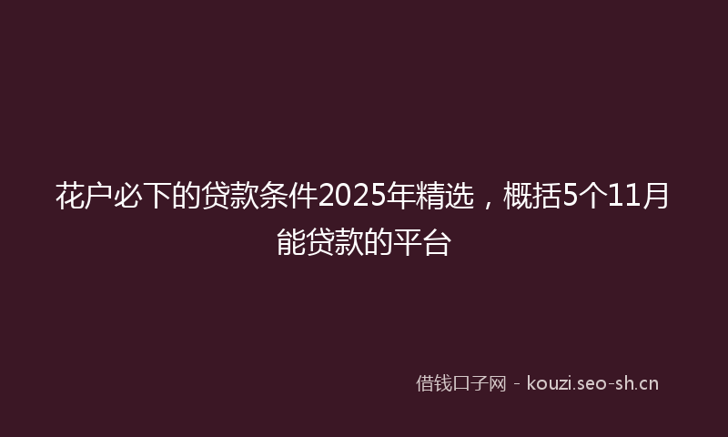 花户必下的贷款条件2025年精选，概括5个11月能贷款的平台