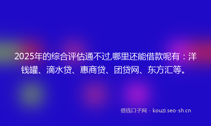 2025年的综合评估通不过,哪里还能借款呢有：洋钱罐、滴水贷、惠商贷、团贷网、东方汇等。