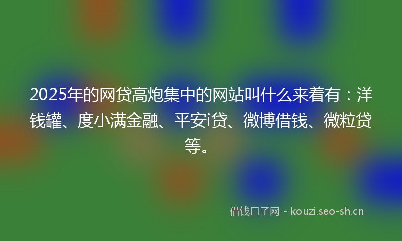 2025年的网贷高炮集中的网站叫什么来着有：洋钱罐、度小满金融、平安i贷、微博借钱、微粒贷等。