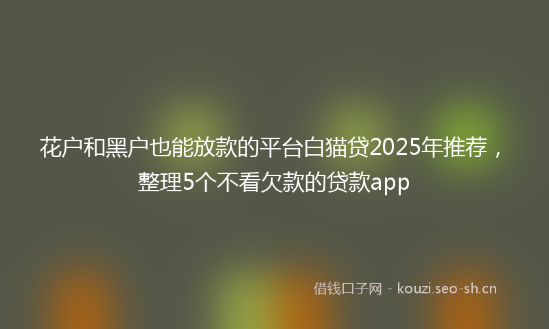 花户和黑户也能放款的平台白猫贷2025年推荐，整理5个不看欠款的贷款app